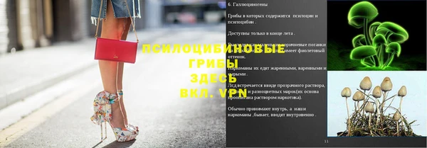 амф Зеленодольск