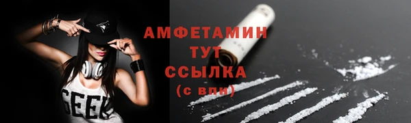 амф Зеленодольск